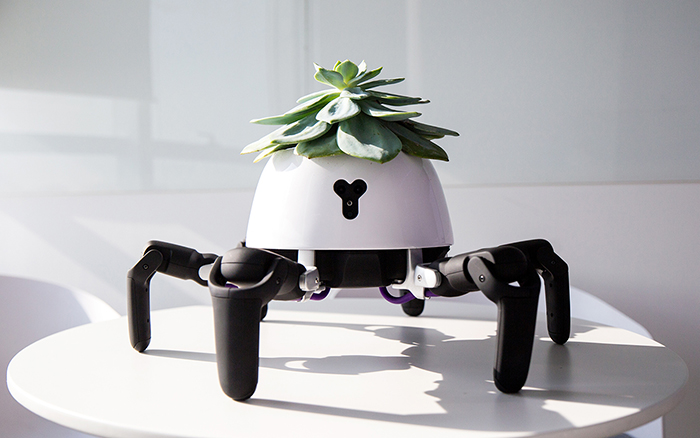 This Robot Is Designed To Chase The Sun So Your Plant Will Get All The Light It Needs