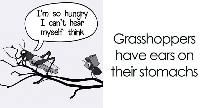 Here Are 29 Ridiculous Science Facts That We Illustrated