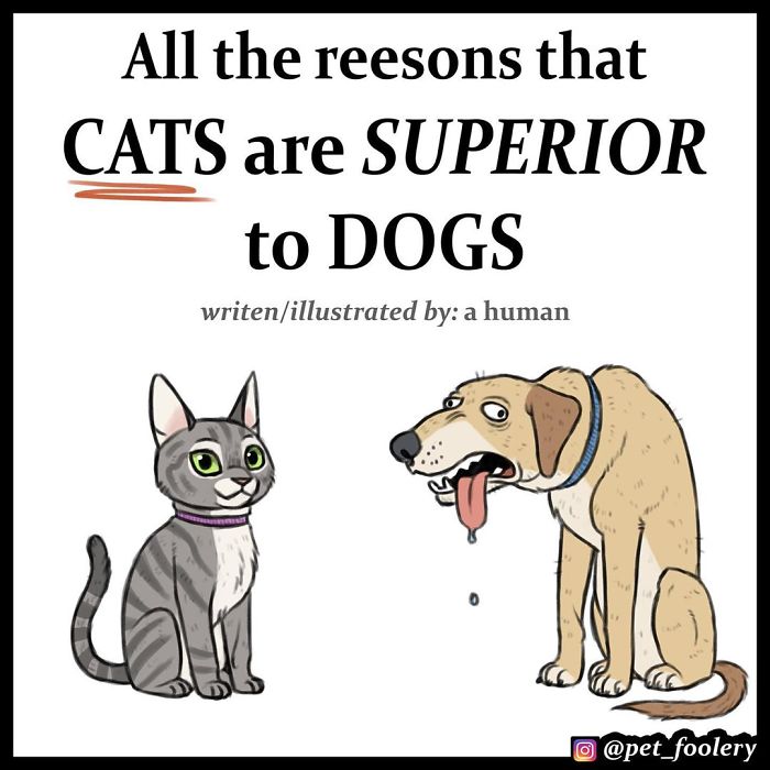 4 Hilarious Comics Explaining Why Cats Are Better Than Dogs