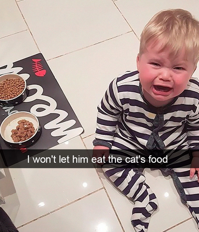 I Won't Let Him Eat The Cat's Food