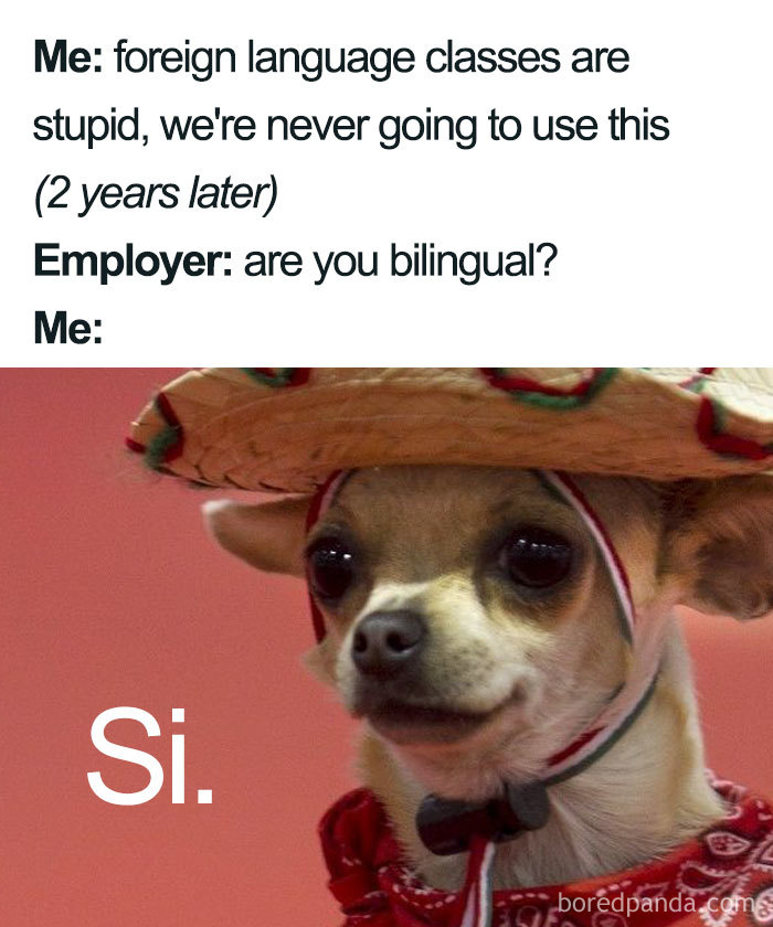 30 Funniest Memes About Spanish Language For People That Tried