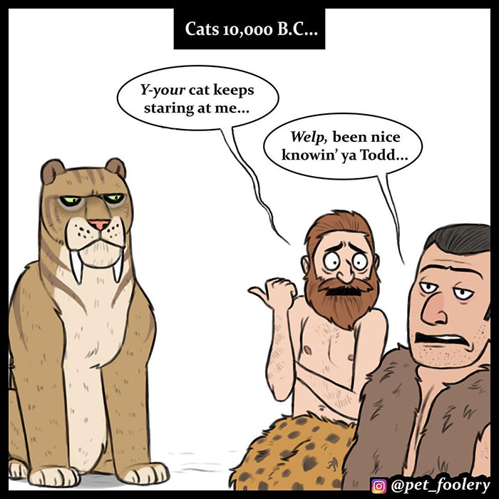 The Differences Between Prehistoric And Today's Cats Explained In A Hilarious Comic
