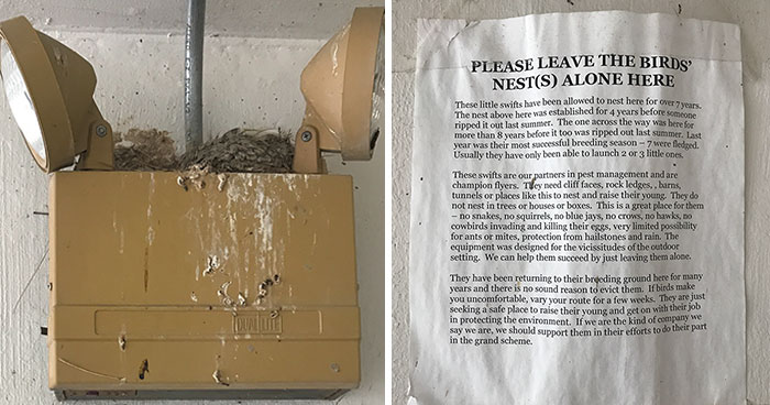 People Kept Destroying These Swifts’ Nests So Someone Put Up A Sign Explaining Why We Need To Protect Them