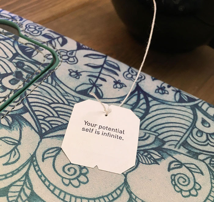 My Tea Bag Today, Hit Me Right Where I Needed It. I Hope This Inspires You