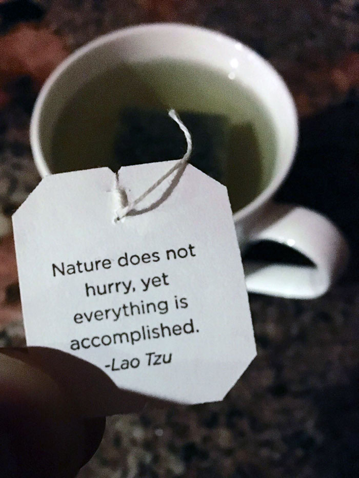 My Tea Had Some Solid Motivation For Me Today