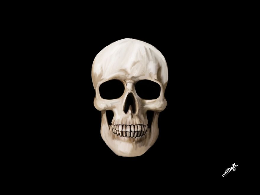 Skull Collection