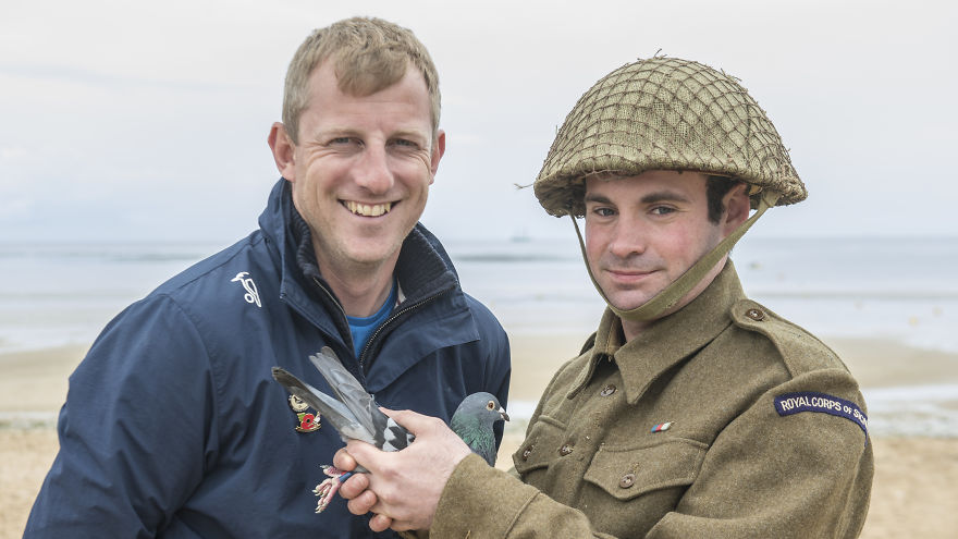 the Royal Pigeon Racing Association Commemorates 75th Anniversary Of D-Day Landings With Liberation On Sword Beach the Royal Pigeon Racing Association Commemorates 75th Anniversary Of D-Day Landings With Liberation On Sword Beach