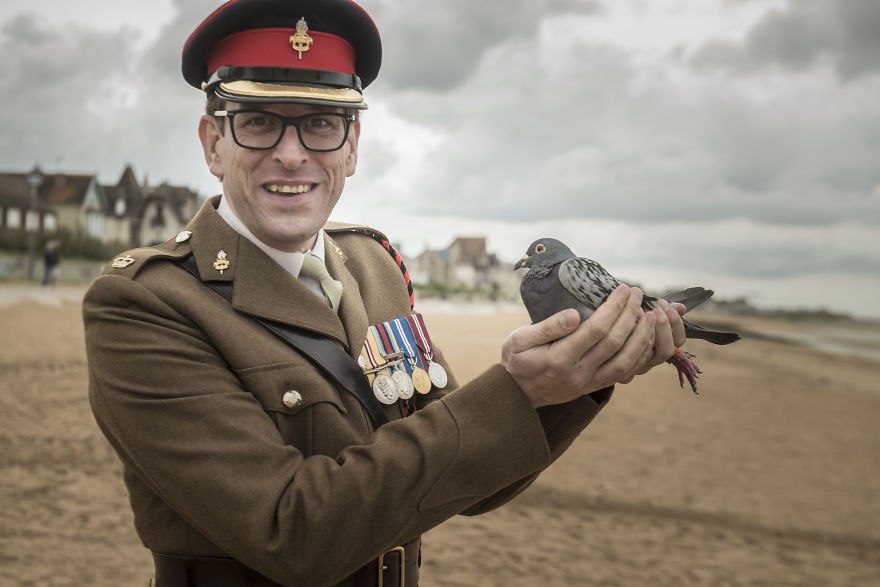 the Royal Pigeon Racing Association Commemorates 75th Anniversary Of D-Day Landings With Liberation On Sword Beach the Royal Pigeon Racing Association Commemorates 75th Anniversary Of D-Day Landings With Liberation On Sword Beach
