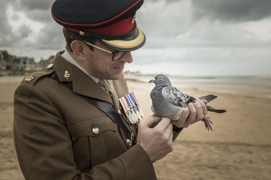 the Royal Pigeon Racing Association Commemorates 75th Anniversary Of D-Day Landings With Liberation On Sword Beach the Royal Pigeon Racing Association Commemorates 75th Anniversary Of D-Day Landings With Liberation On Sword Beach