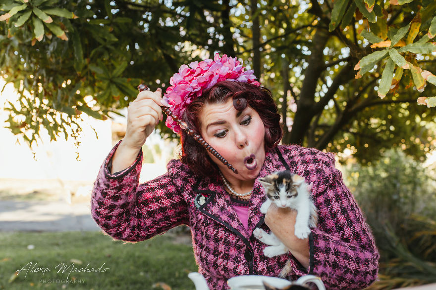 I Photographed Professor Umbridge With Her Kittens And The Results Are Fabulous!
