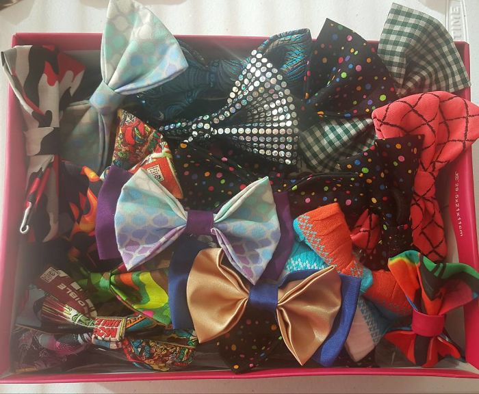 12-Year-Old Kid Makes Shelter Cats And Dogs Stylish Bow Ties To Help Them Find A Home