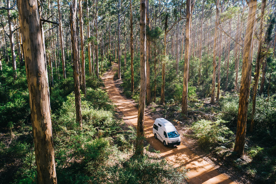 Driving Through Karri Forests