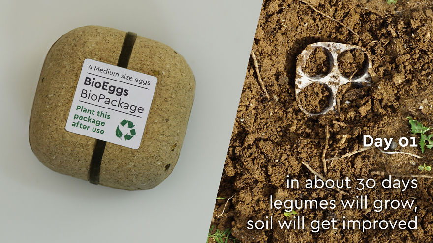 Biopack - A Growing Seeds Package Biopack - A Growing Seeds Package