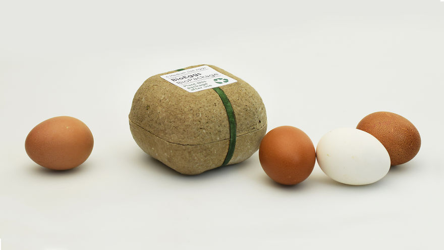 Biopack - A Growing Seeds Package Biopack - A Growing Seeds Package