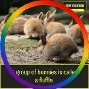 alex_lempart86 avatar