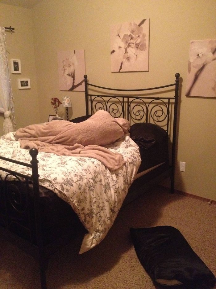 Entré en mi cuarto y vi mis almohadas y manta enredadas así, casi me da un infarto