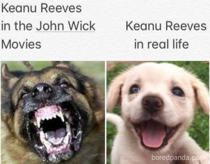 Funny-Keanu-Reeves-Memes