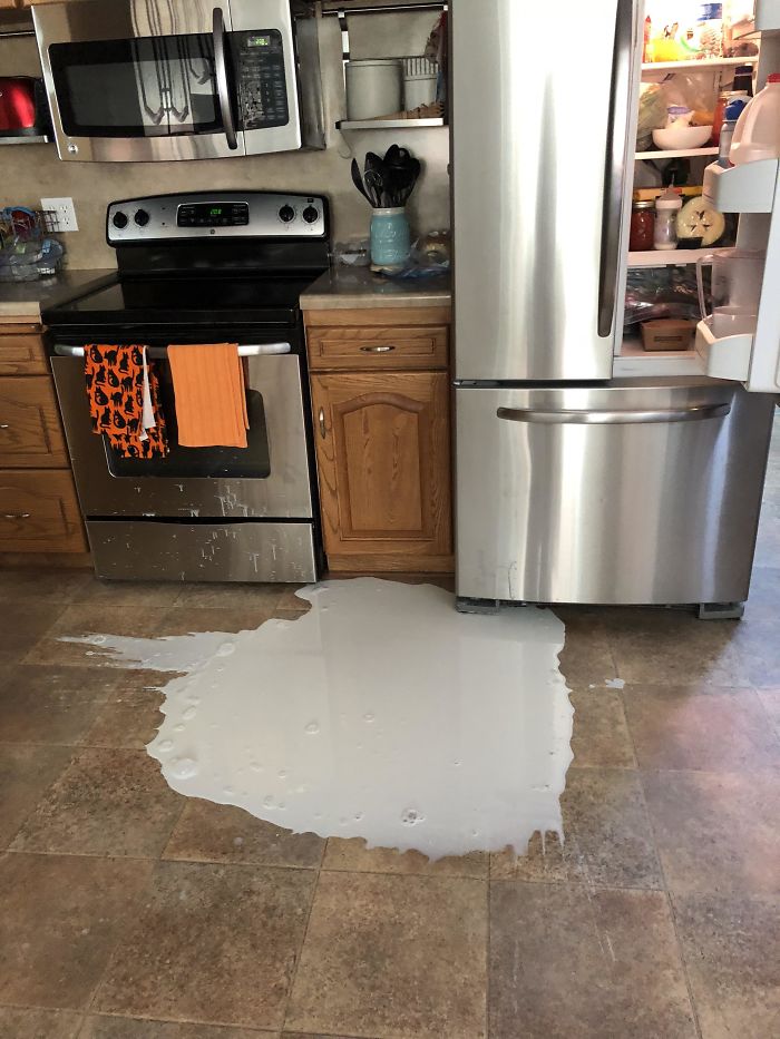 Dropped A Brand New Gallon Of Milk. As A Bonus, I Also Got A Flat Tire Today