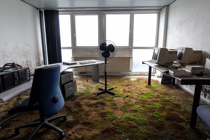 Abandoned Office Found With Lots Of Moss And Mold
