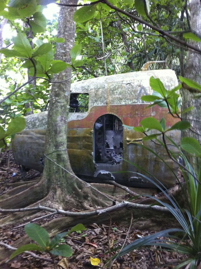 Found An Old Fuselage While Hiking In The Forest In Hawaii