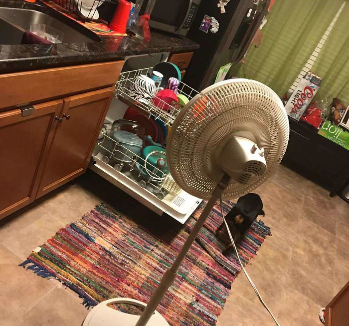My Wife Asked Me To Dry The Dishes