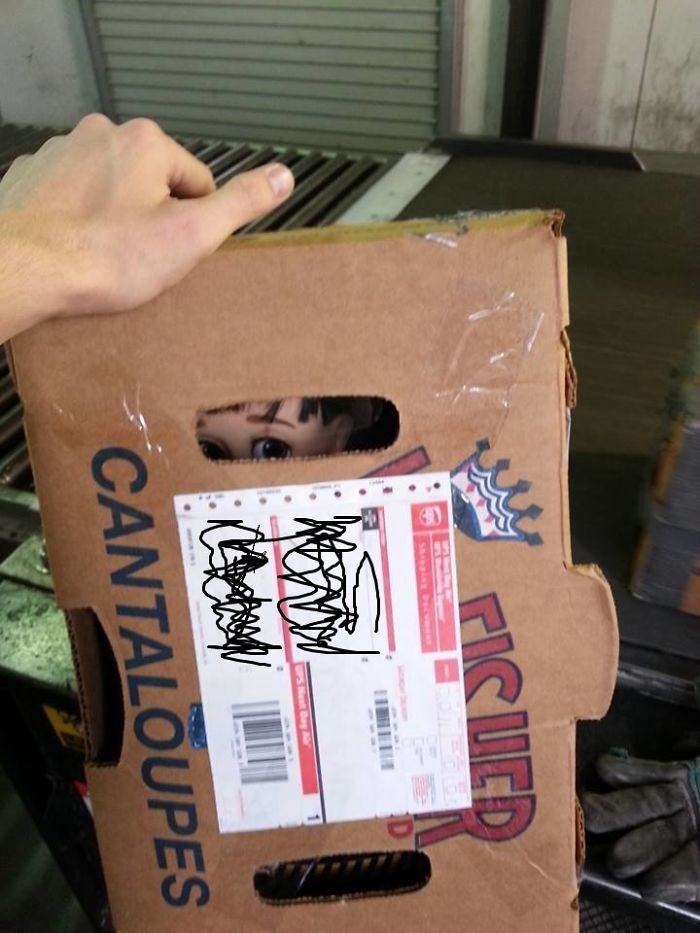 So I Work At UPS And I Had A Mild Heart Attack When I Saw This Box