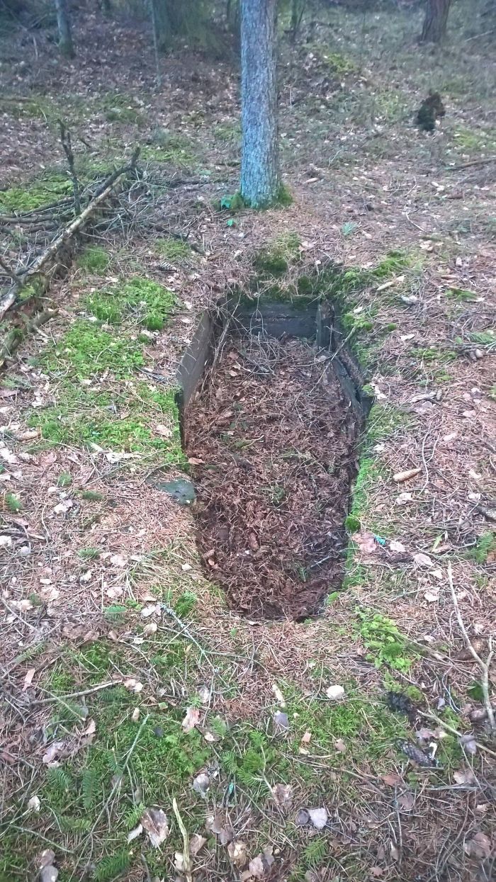 Found Something That Looked Like A Coffin In The Woods Today