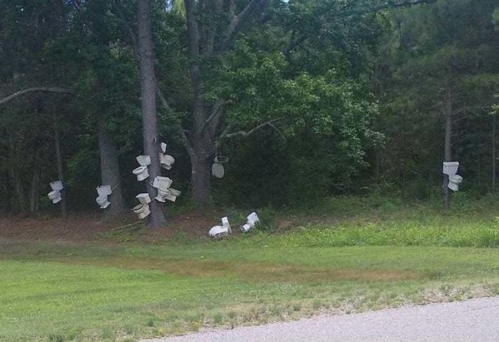 *shhh* It's A Flock Of Wild Toilets Roosting