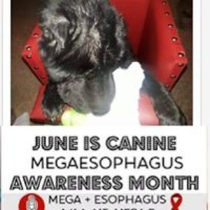 dublincolleen avatar