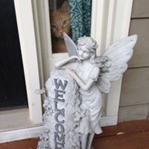 lavenderdejectedmoon avatar