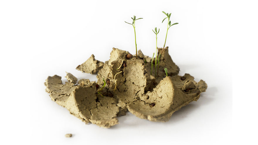 Biopack - A Growing Seeds Package Biopack - A Growing Seeds Package