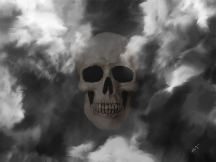 Skull Collection