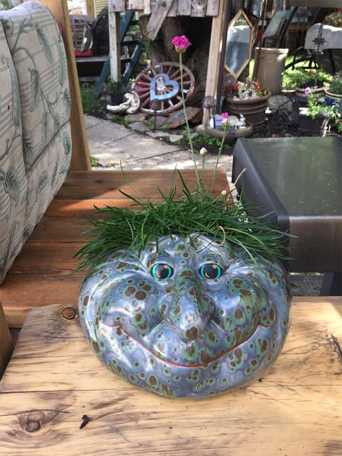 My Favourite Second Hand Planter At First It Was A Chip Bowl Lol But He Just Kept Staring At Me Name Please?
