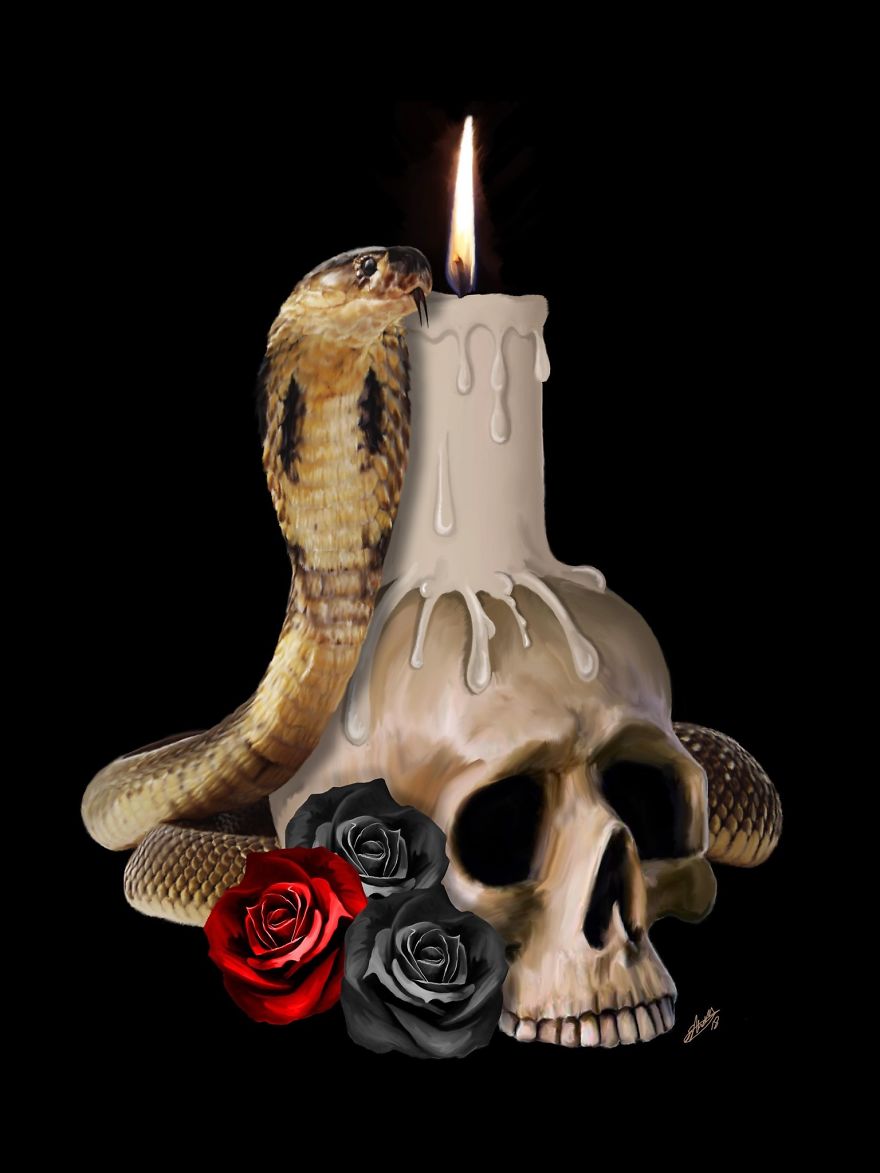 Skull Collection