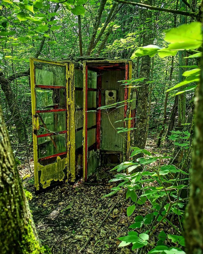An Old Phone Box Hidden Away In The Undergrowth In Pripyat. Unused Since 1986