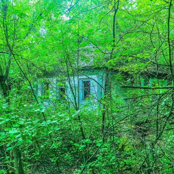 Abandoned House In A Village Close To Chernobyl