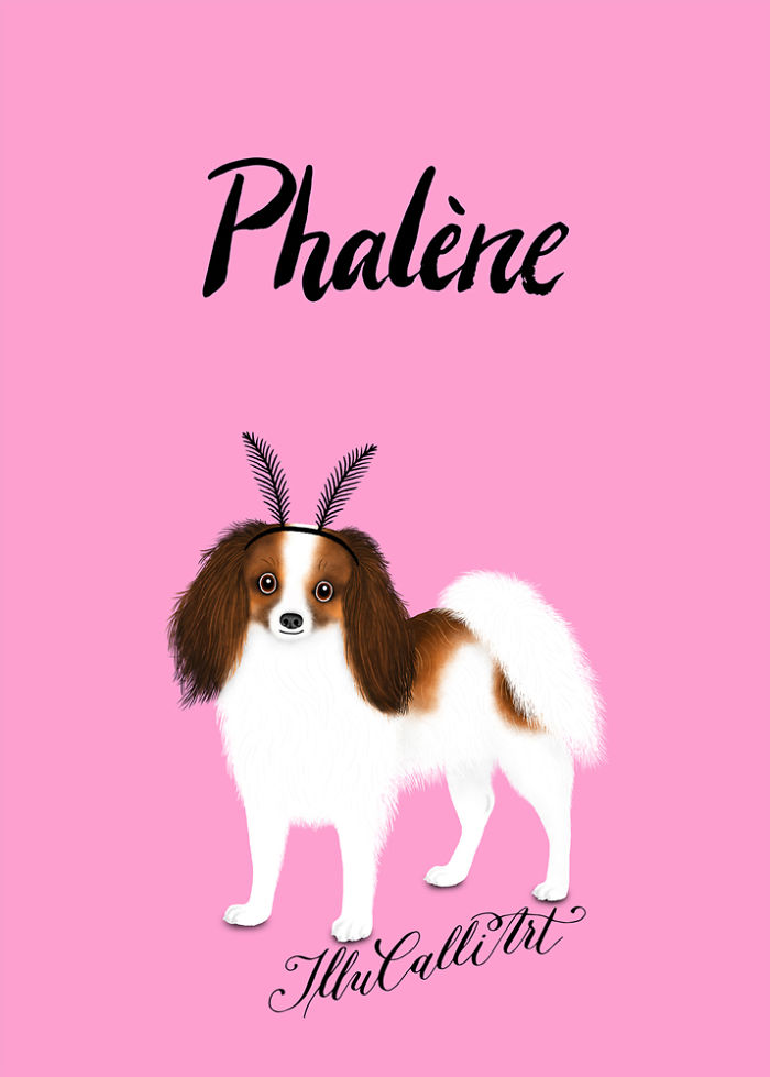 Phalène
