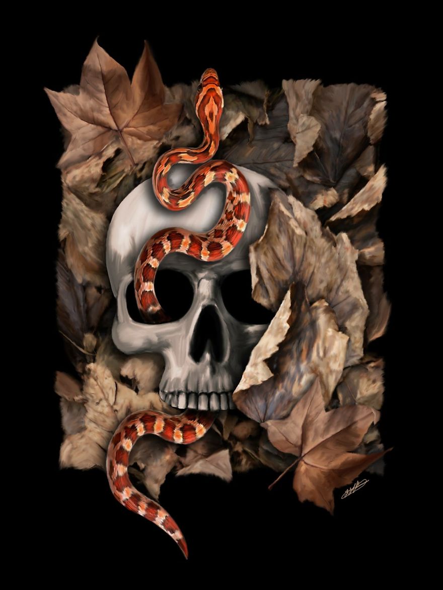 Skull Collection