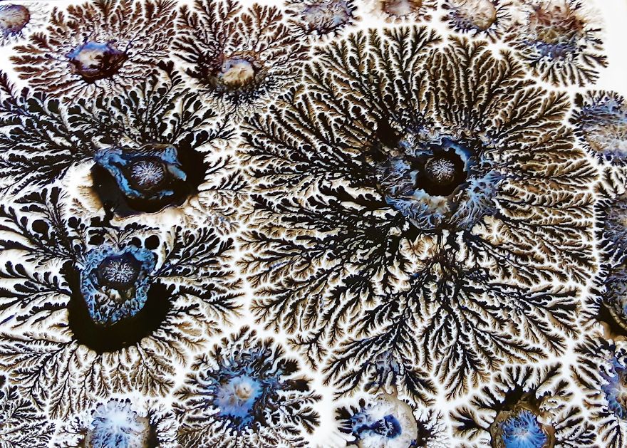 Fractal Art - How Big? "Dirty Dendrites" - Acrylic Pouring / Fluid Art Fractal Art - How Big? "Dirty Dendrites" - Acrylic Pouring / Fluid Art