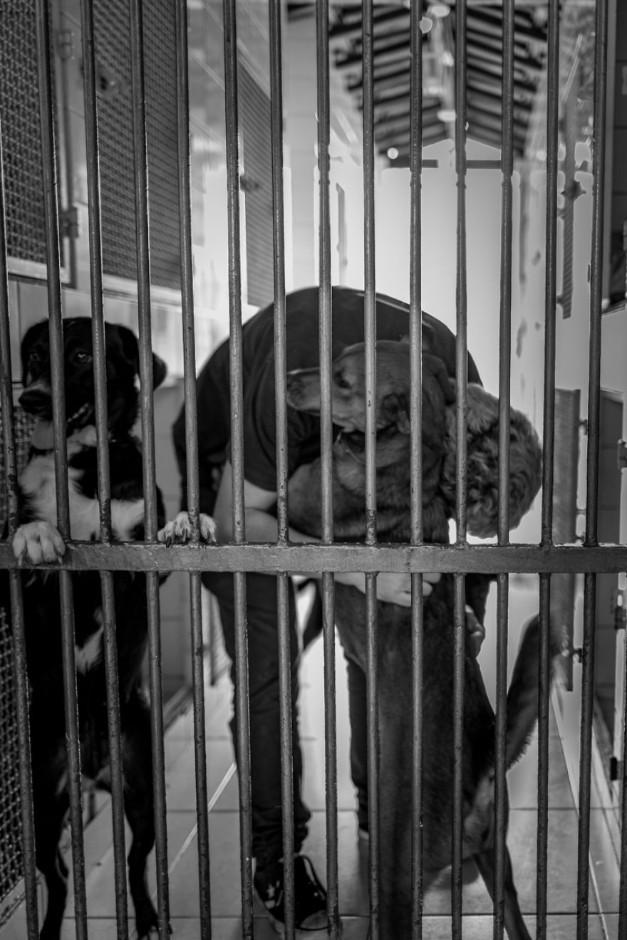 My Photo Series “Demystification Of Voluntary Work” Shows What Really Happens At An Animal Shelter