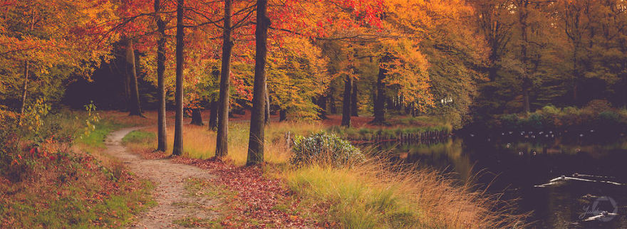 I Capture The Fairy-Tale Like Magic Of Nature
