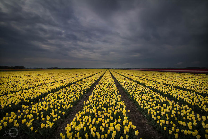 I Capture The Fairy-Tale Like Magic Of Nature
