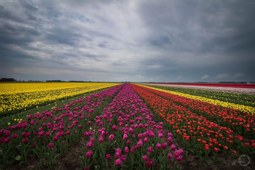 I Capture The Fairy-Tale Like Magic Of Nature