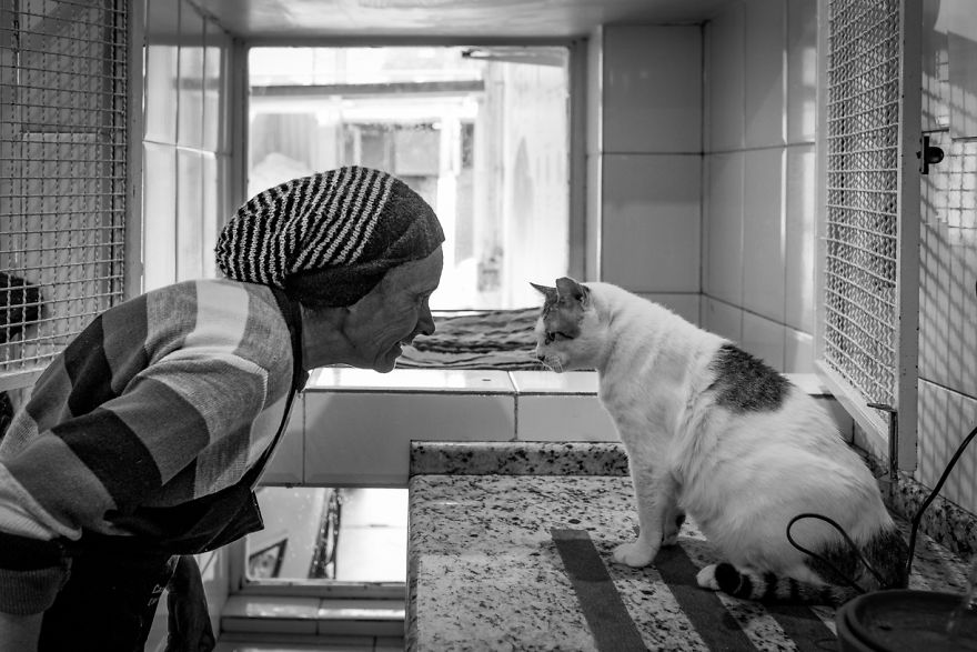 My Photo Series “Demystification Of Voluntary Work” Shows What Really Happens At An Animal Shelter