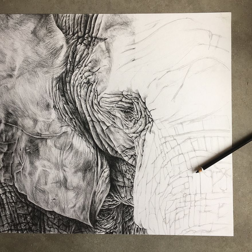 30 Hours Later,
this Is My New Elephant Drawing :-)