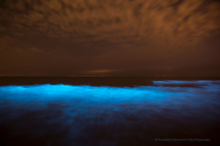 My 10 Fairy-Like Pics Show The Presence Of Sea Sparkle On The Dutch Coast