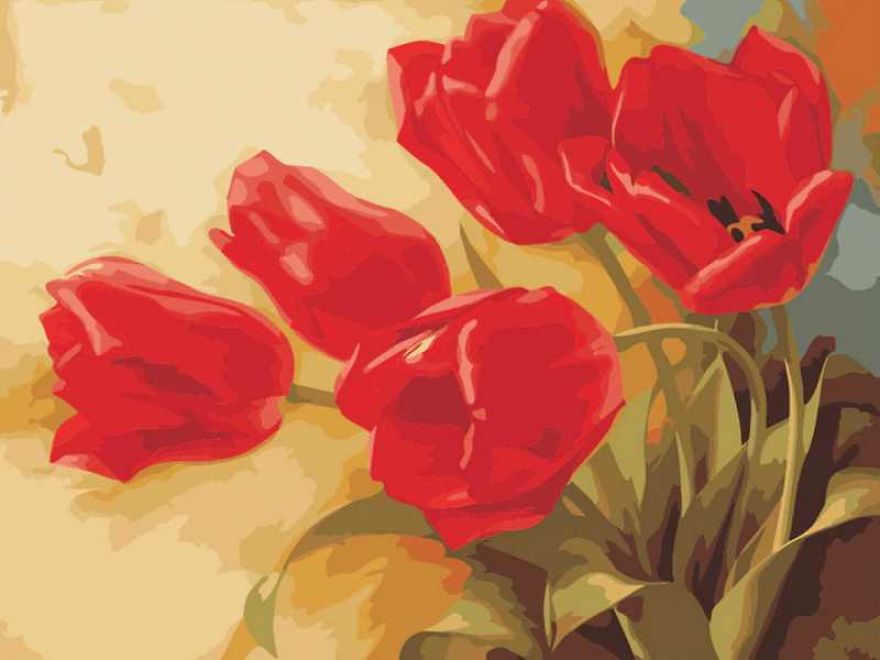 Red Tulips Paint By Numbers
