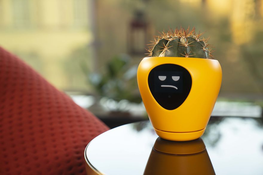 This Is The Sweetest Smart Planter! This Is The Sweetest Smart Planter!