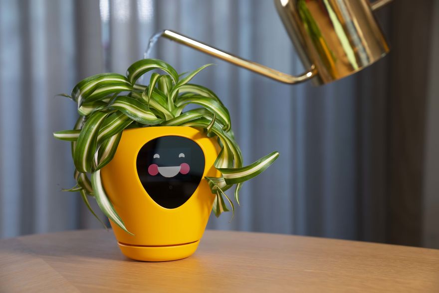 This Is The Sweetest Smart Planter! This Is The Sweetest Smart Planter!