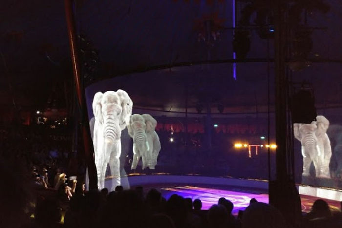 German Circus Uses Holograms Instead Of Live Animals For A Cruelty-Free  Magical Experience | Bored Panda